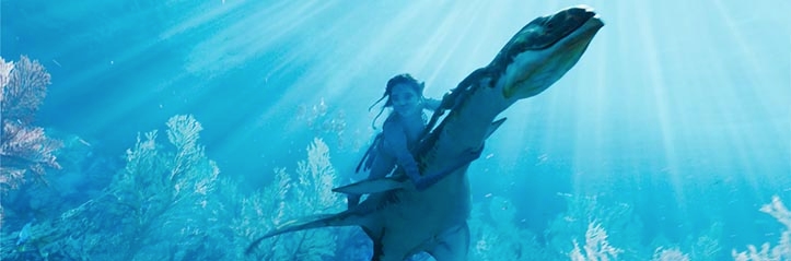 Avatar 2: Everything You Need To Know image