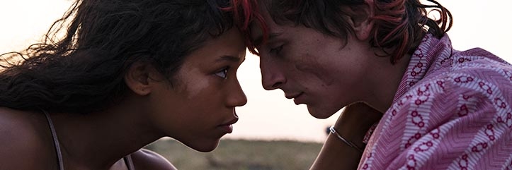 Bones and All: Timothée Chalamet Stars in a Horrific Tale image