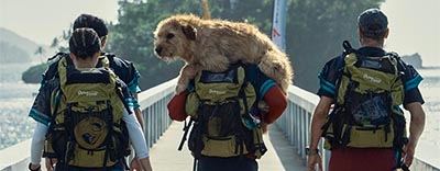Arthur the King: Mark Wahlberg's Heartwarming Dog Movie image