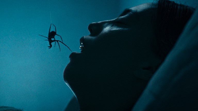Still for Crawlers